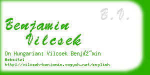 benjamin vilcsek business card